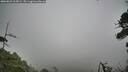 ./images/calvert/fitz-hugh-hecate/20260823/fitz-hugh-hecate20260823_115001M.jpg