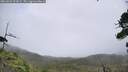 ./images/calvert/fitz-hugh-hecate/20260823/fitz-hugh-hecate20260823_122002M.jpg