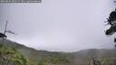 ./images/calvert/fitz-hugh-hecate/20260823/fitz-hugh-hecate20260823_132501M.jpg