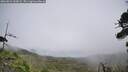 ./images/calvert/fitz-hugh-hecate/20260823/fitz-hugh-hecate20260823_145001M.jpg