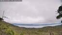 ./images/calvert/fitz-hugh-hecate/20260823/fitz-hugh-hecate20260823_153001M.jpg