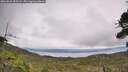 ./images/calvert/fitz-hugh-hecate/20260823/fitz-hugh-hecate20260823_153501M.jpg