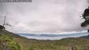 ./images/calvert/fitz-hugh-hecate/20260823/fitz-hugh-hecate20260823_154001M.jpg