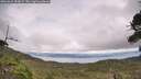 ./images/calvert/fitz-hugh-hecate/20260823/fitz-hugh-hecate20260823_154501M.jpg