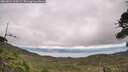 ./images/calvert/fitz-hugh-hecate/20260823/fitz-hugh-hecate20260823_155001M.jpg