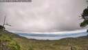 ./images/calvert/fitz-hugh-hecate/20260823/fitz-hugh-hecate20260823_160001M.jpg