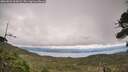 ./images/calvert/fitz-hugh-hecate/20260823/fitz-hugh-hecate20260823_161002M.jpg