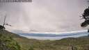 ./images/calvert/fitz-hugh-hecate/20260823/fitz-hugh-hecate20260823_163002M.jpg