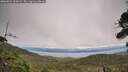 ./images/calvert/fitz-hugh-hecate/20260823/fitz-hugh-hecate20260823_165002M.jpg