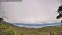 ./images/calvert/fitz-hugh-hecate/20260823/fitz-hugh-hecate20260823_165501M.jpg