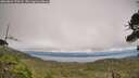 ./images/calvert/fitz-hugh-hecate/20260823/fitz-hugh-hecate20260823_170501M.jpg