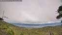 ./images/calvert/fitz-hugh-hecate/20260823/fitz-hugh-hecate20260823_171502M.jpg