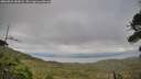 ./images/calvert/fitz-hugh-hecate/20260823/fitz-hugh-hecate20260823_183001M.jpg