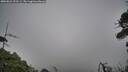 ./images/calvert/fitz-hugh-hecate/20260823/fitz-hugh-hecate20260823_193501M.jpg
