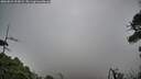 ./images/calvert/fitz-hugh-hecate/20260823/fitz-hugh-hecate20260823_203002M.jpg