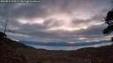 ./images/calvert/fitz-hugh-hecate/20260824/fitz-hugh-hecate20260824_060501M.jpg