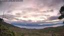 ./images/calvert/fitz-hugh-hecate/20260824/fitz-hugh-hecate20260824_062001M.jpg