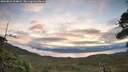 ./images/calvert/fitz-hugh-hecate/20260824/fitz-hugh-hecate20260824_064001M.jpg