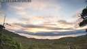 ./images/calvert/fitz-hugh-hecate/20260824/fitz-hugh-hecate20260824_064502M.jpg