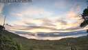 ./images/calvert/fitz-hugh-hecate/20260824/fitz-hugh-hecate20260824_065001M.jpg