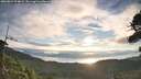 ./images/calvert/fitz-hugh-hecate/20260824/fitz-hugh-hecate20260824_074001M.jpg