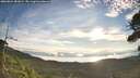 ./images/calvert/fitz-hugh-hecate/20260824/fitz-hugh-hecate20260824_081001M.jpg