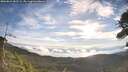 ./images/calvert/fitz-hugh-hecate/20260824/fitz-hugh-hecate20260824_081501M.jpg