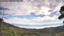 ./images/calvert/fitz-hugh-hecate/20260824/fitz-hugh-hecate20260824_084001M.jpg