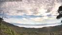 ./images/calvert/fitz-hugh-hecate/20260824/fitz-hugh-hecate20260824_084501M.jpg