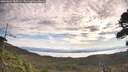 ./images/calvert/fitz-hugh-hecate/20260824/fitz-hugh-hecate20260824_085001M.jpg