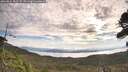 ./images/calvert/fitz-hugh-hecate/20260824/fitz-hugh-hecate20260824_085502M.jpg