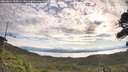./images/calvert/fitz-hugh-hecate/20260824/fitz-hugh-hecate20260824_090001M.jpg