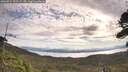 ./images/calvert/fitz-hugh-hecate/20260824/fitz-hugh-hecate20260824_090501M.jpg