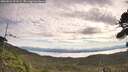 ./images/calvert/fitz-hugh-hecate/20260824/fitz-hugh-hecate20260824_091002M.jpg