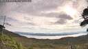 ./images/calvert/fitz-hugh-hecate/20260824/fitz-hugh-hecate20260824_091501M.jpg