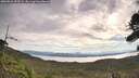 ./images/calvert/fitz-hugh-hecate/20260824/fitz-hugh-hecate20260824_092501M.jpg
