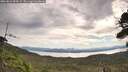 ./images/calvert/fitz-hugh-hecate/20260824/fitz-hugh-hecate20260824_093501M.jpg