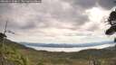 ./images/calvert/fitz-hugh-hecate/20260824/fitz-hugh-hecate20260824_094001M.jpg