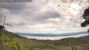 ./images/calvert/fitz-hugh-hecate/20260824/fitz-hugh-hecate20260824_095001M.jpg