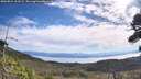 ./images/calvert/fitz-hugh-hecate/20260824/fitz-hugh-hecate20260824_103501M.jpg