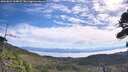 ./images/calvert/fitz-hugh-hecate/20260824/fitz-hugh-hecate20260824_104001M.jpg