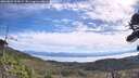 ./images/calvert/fitz-hugh-hecate/20260824/fitz-hugh-hecate20260824_104501M.jpg