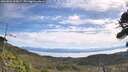 ./images/calvert/fitz-hugh-hecate/20260824/fitz-hugh-hecate20260824_105001M.jpg