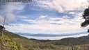 ./images/calvert/fitz-hugh-hecate/20260824/fitz-hugh-hecate20260824_105501M.jpg