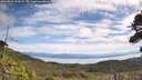 ./images/calvert/fitz-hugh-hecate/20260824/fitz-hugh-hecate20260824_111001M.jpg