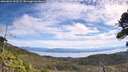 ./images/calvert/fitz-hugh-hecate/20260824/fitz-hugh-hecate20260824_111501M.jpg