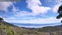 ./images/calvert/fitz-hugh-hecate/20260824/fitz-hugh-hecate20260824_113002M.jpg