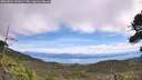 ./images/calvert/fitz-hugh-hecate/20260824/fitz-hugh-hecate20260824_115001M.jpg