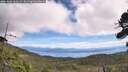./images/calvert/fitz-hugh-hecate/20260824/fitz-hugh-hecate20260824_120502M.jpg