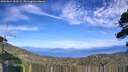 ./images/calvert/fitz-hugh-hecate/20260824/fitz-hugh-hecate20260824_153501M.jpg